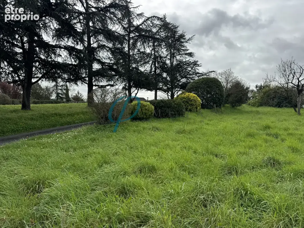 Photo Terrain à La Rouxiere au prix de 44 000€