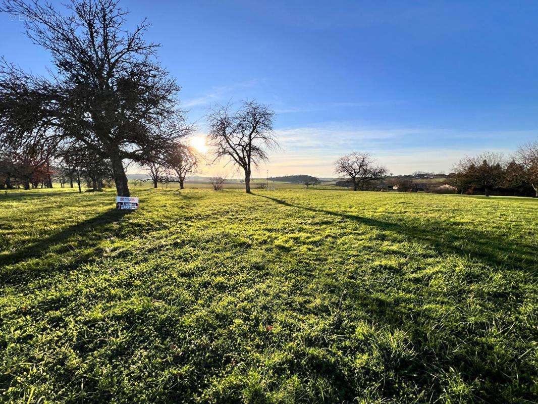 Terrain à FRETIGNEY-ET-VELLOREILLE