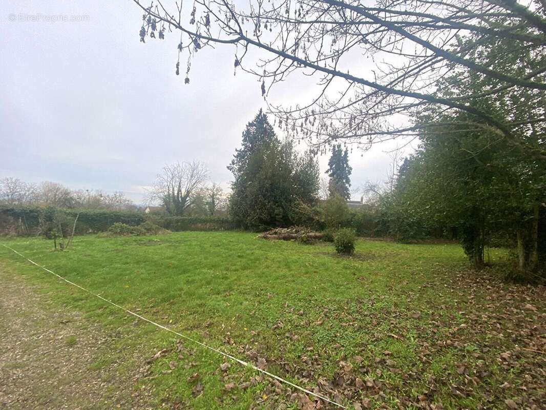 Terrain à JAMBVILLE