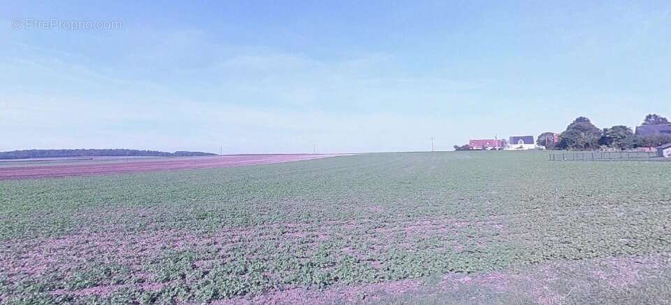 Terrain à HAUTE-AVESNES
