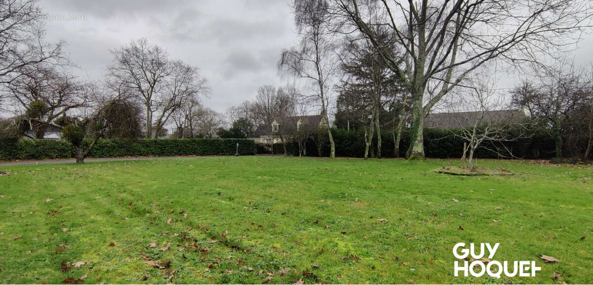 Terrain à VIGNEUX-DE-BRETAGNE