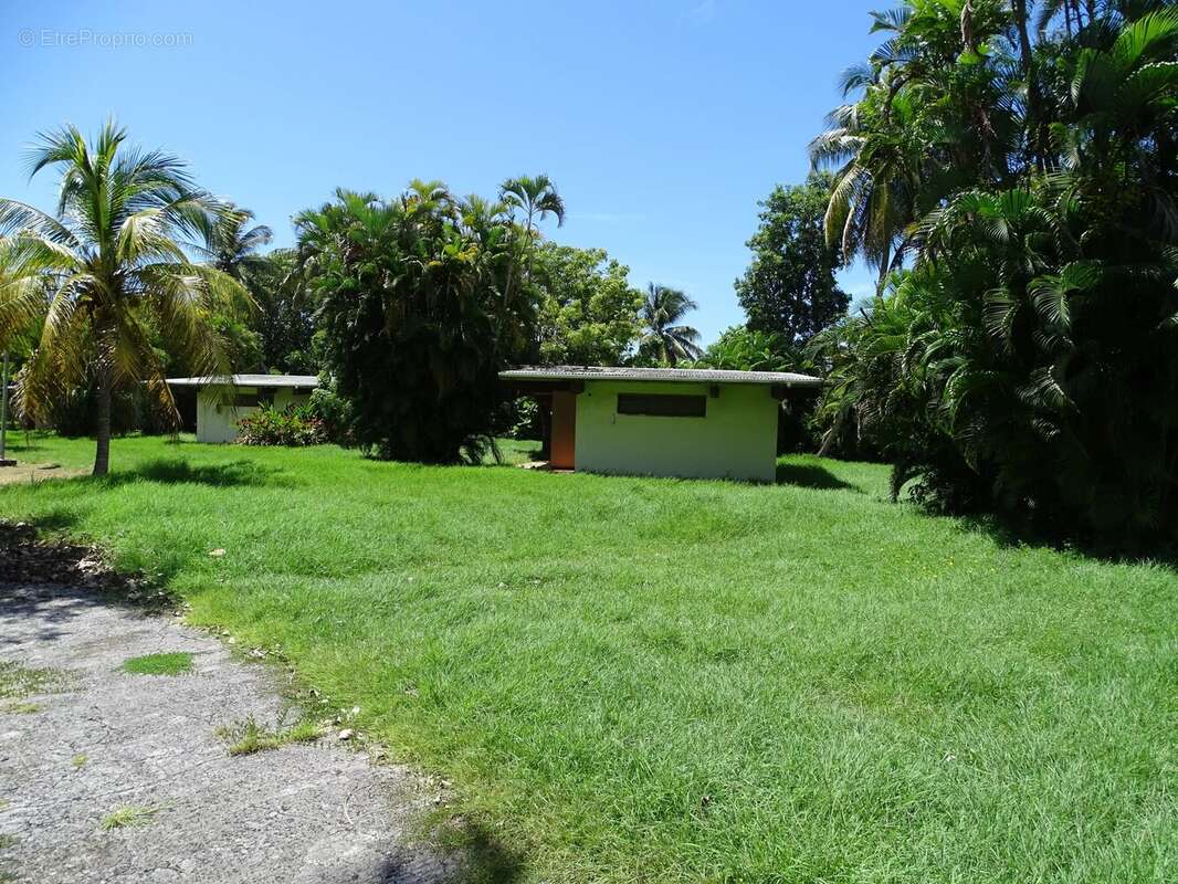 Terrain à SAINTE-ANNE