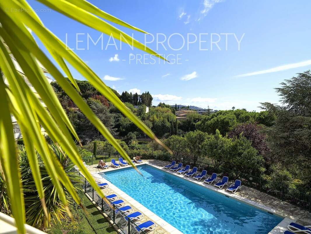 Cannes Croix des Gardes - 3 pièces - terrasse - photo 9