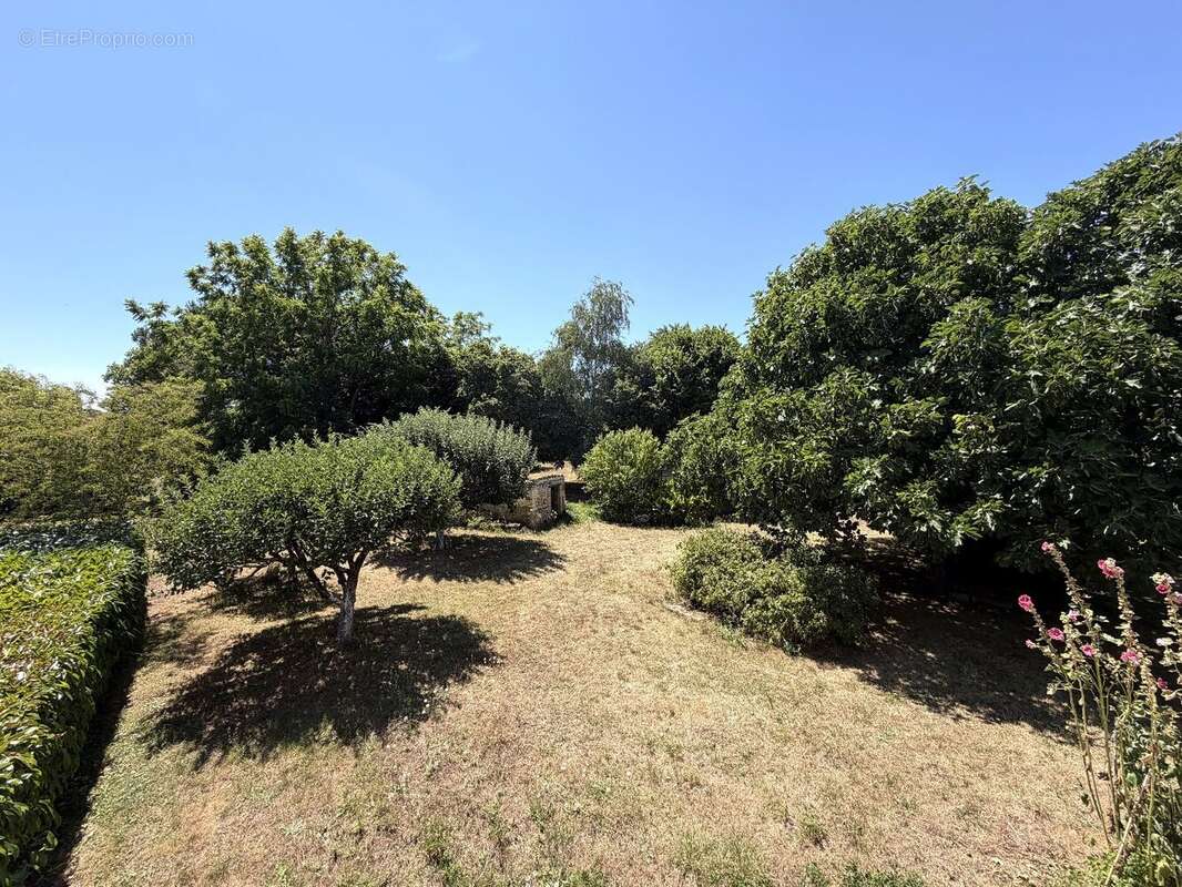 Charmante maison ancienne en pierres avec gîte et grand terrain  champagnolles - photo 8