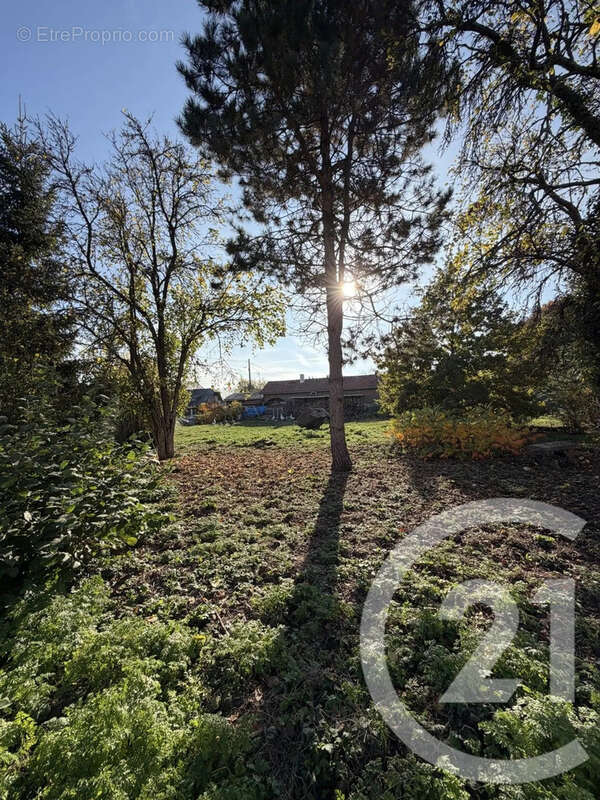Terrain à PERONNE