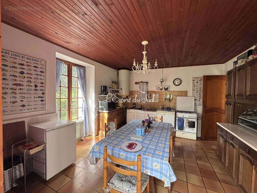 Maison 162 m² à Vieux  - photo 7
