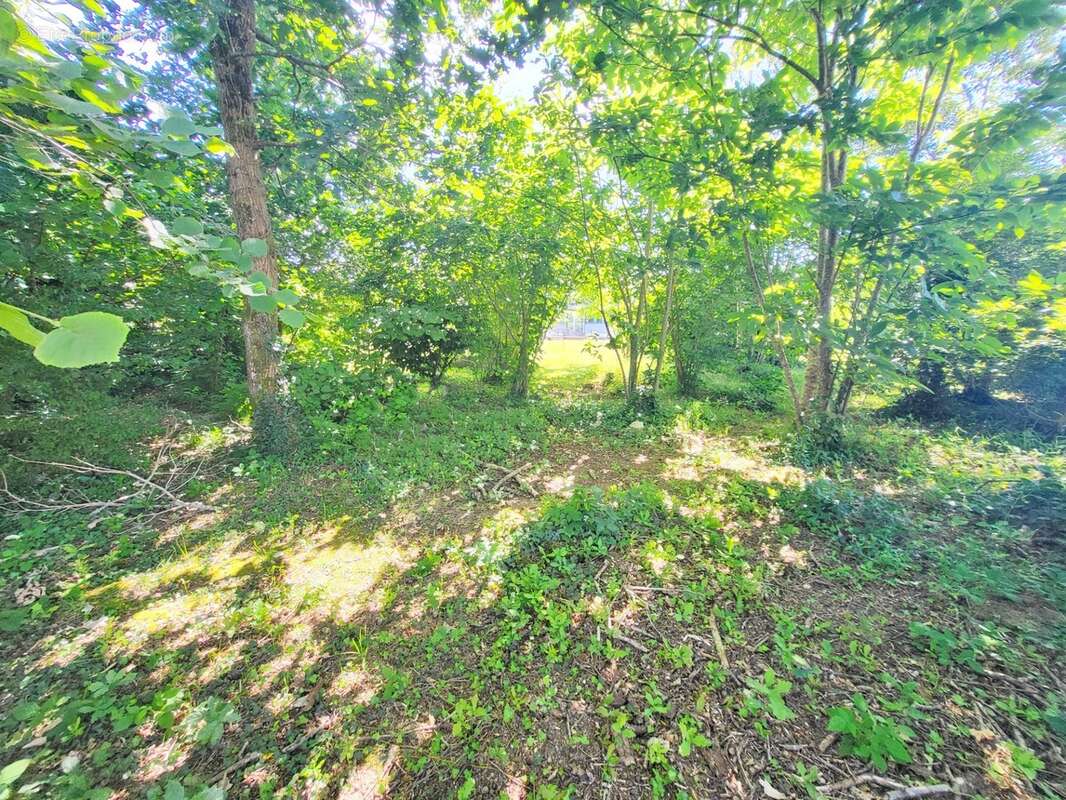 Terrain constructible à vendre  ARGOL (29) - photo 5