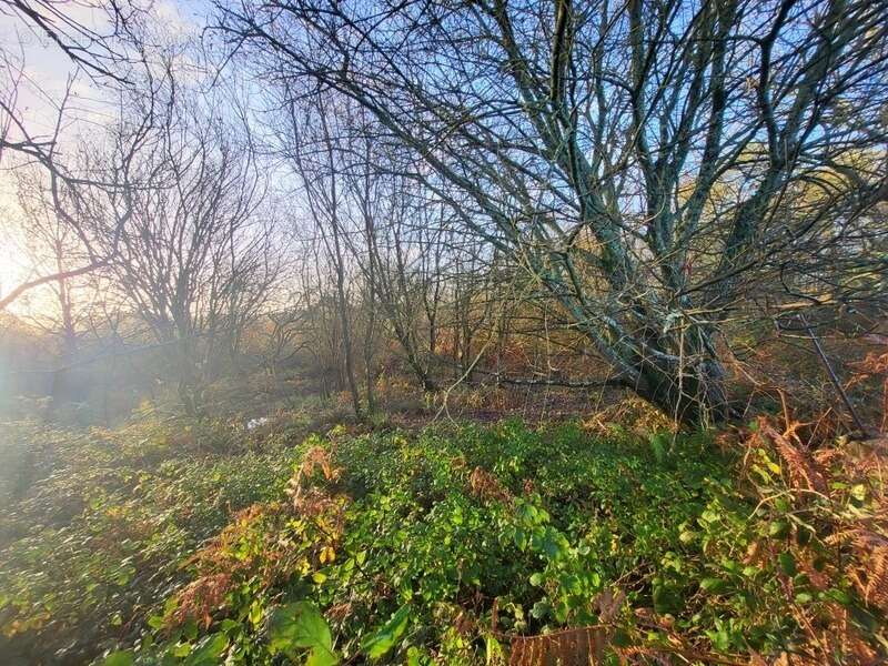 Terrain à TELGRUC-SUR-MER