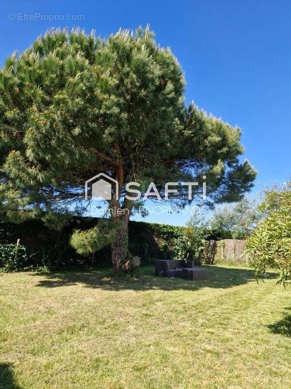 Photo 4 - Maison à SAINT-GEORGES-D'OLERON