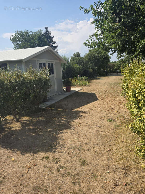 Petite pépite de la semaine - photo 11