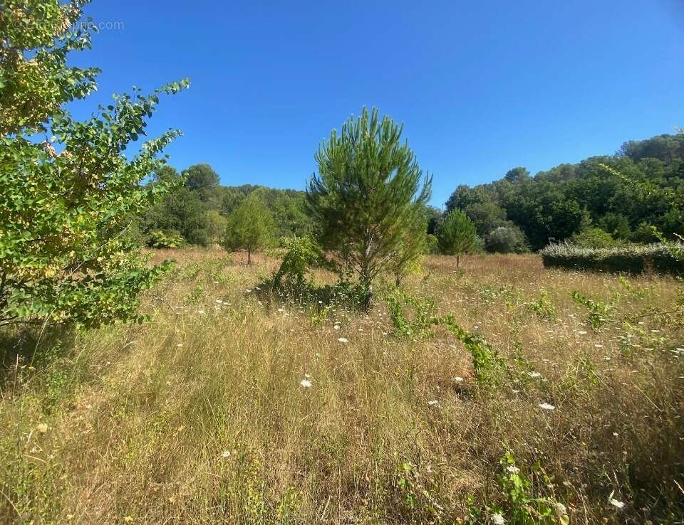 Terrain à LORGUES