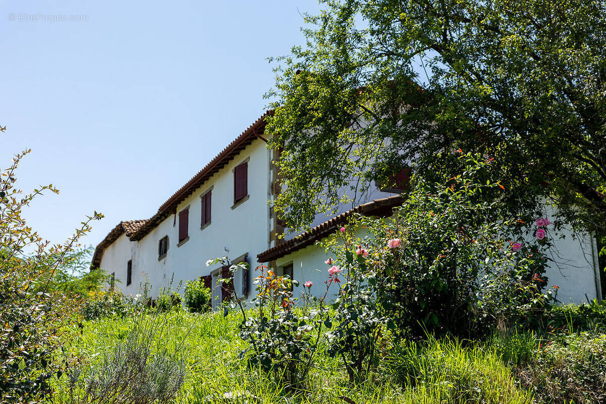 Photo 1 - Maison à SAINT-PALAIS