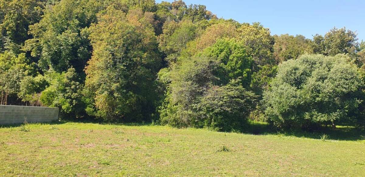 Terrain à SERRA-DI-FIUMORBO