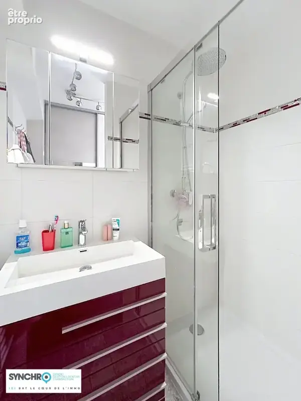 Kembs superbe maison contemporaine en lisière de forêt . - photo 8
