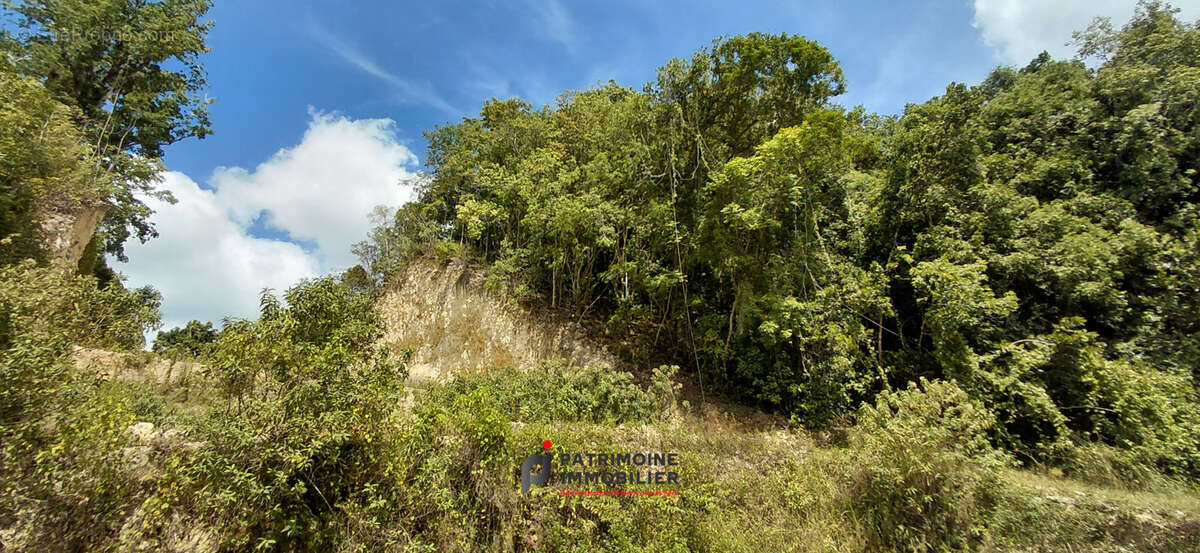 Un terrain d'exception de 3356 m2 pour donner vie a votre ecolodge au gosier - photo 11