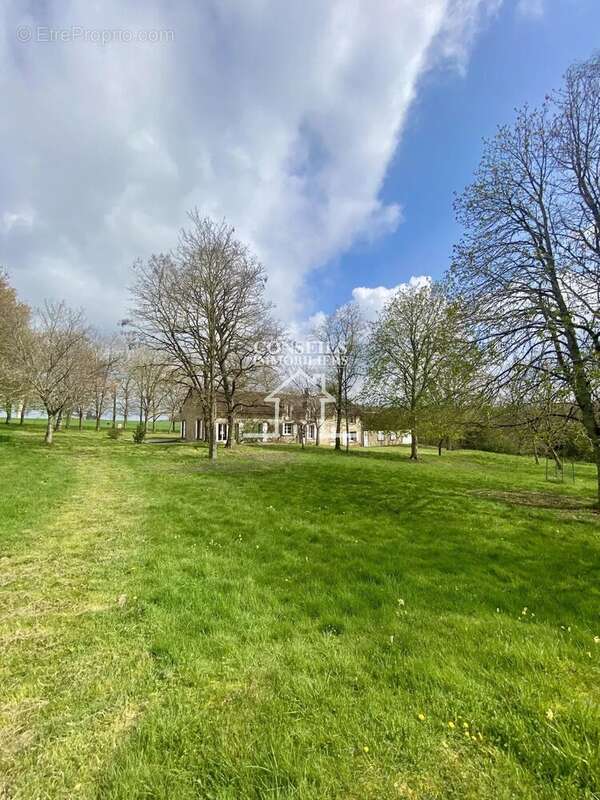 ST JULIEN DU SAULT /VERLIN dans endroit exceptionnel - photo 29
