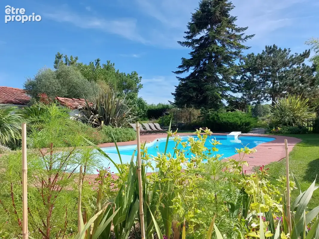Maison à vendre 7 pièces MONTAUBAN (82) avec chambres d'hôtes, piscine, jardin et dépendance - photo 33