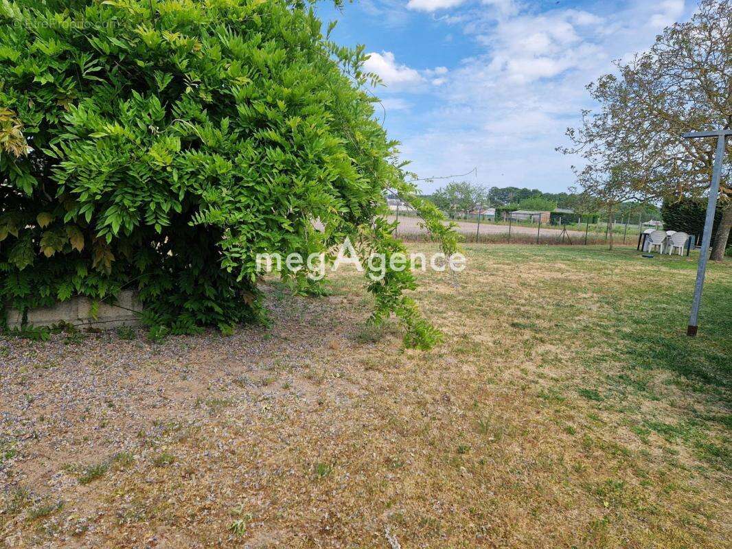 Allonnes-Belle longère en tuffeau sur terrain de plus de 1500 m2 - photo 11
