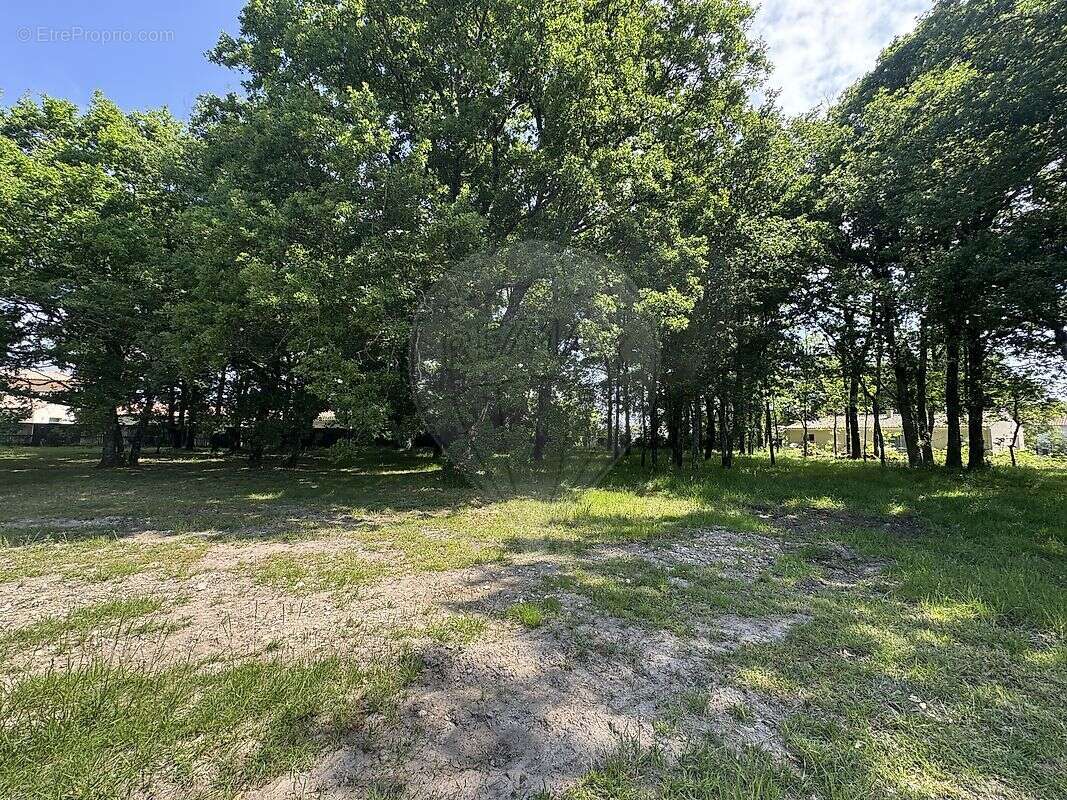 Terrain à ARVERT