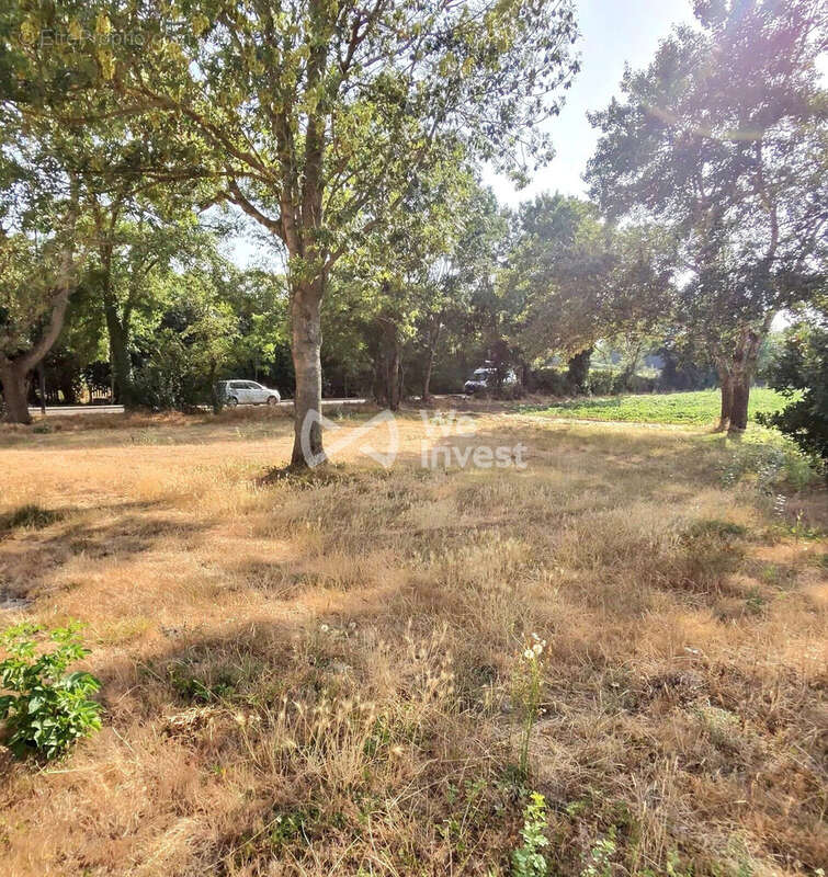 Terrain 670 m² à Les Pujols  - photo 3