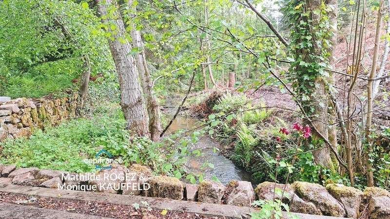 Grande demeure de charme + gîte + grand terrain - Tours-sur-Meymont - photo 28