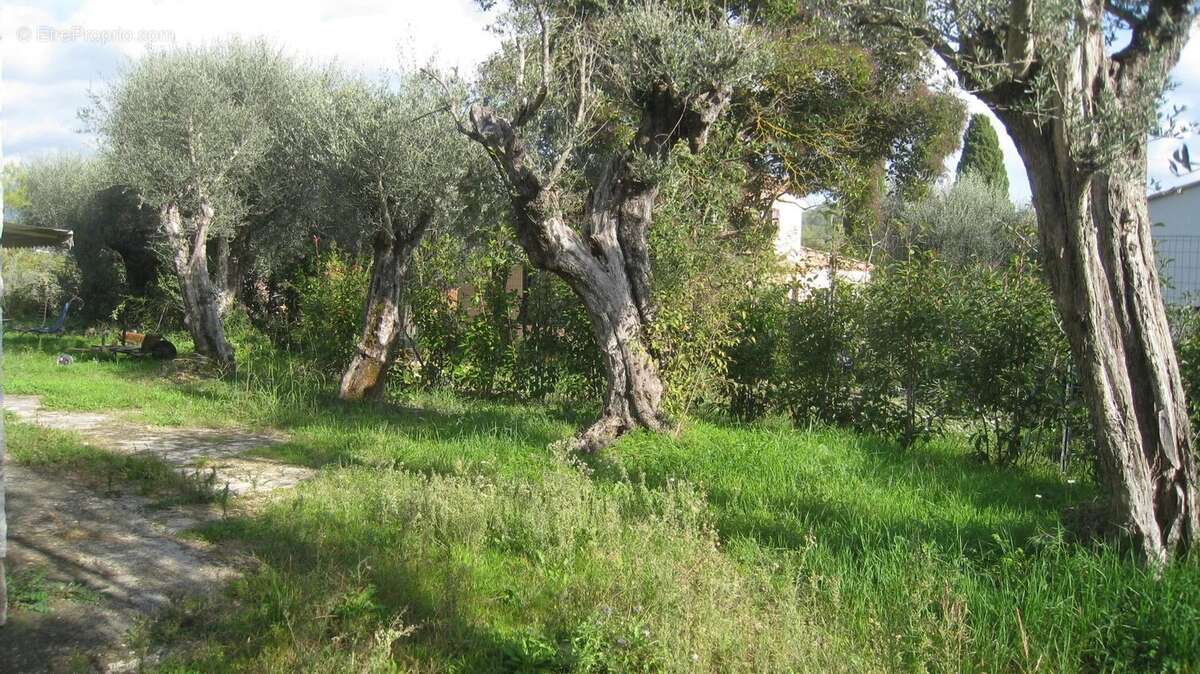 Belle propriété 260 m² sur Grasse St Jacques - photo 7
