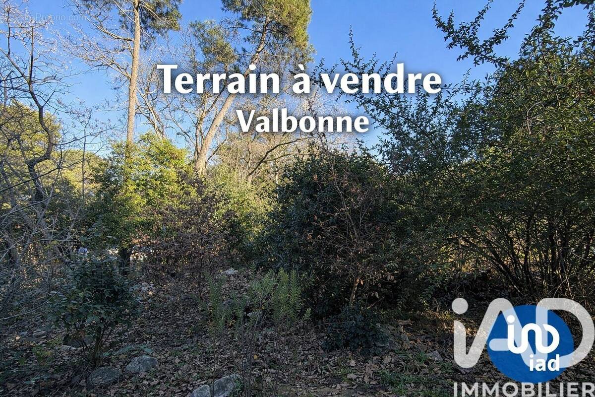 Photo 1 - Terrain à VALBONNE