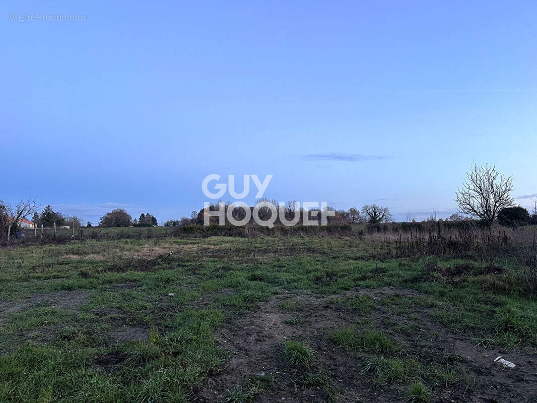 Terrain à HAUTE-GOULAINE