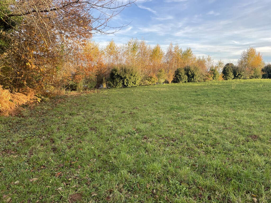 A l'entrée de Pompadour, direction Juillac - photo 5
