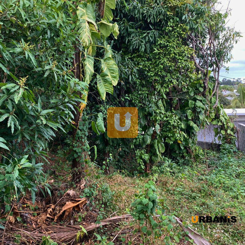 Terrain à LE TAMPON