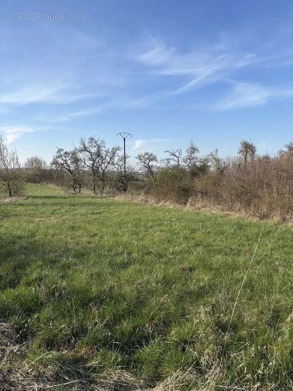 Terrain à WATRONVILLE
