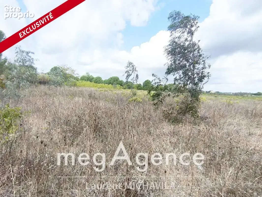 Terrain agricole - Caylus, Villeneuve les béziers - 20 000€ - photo 3