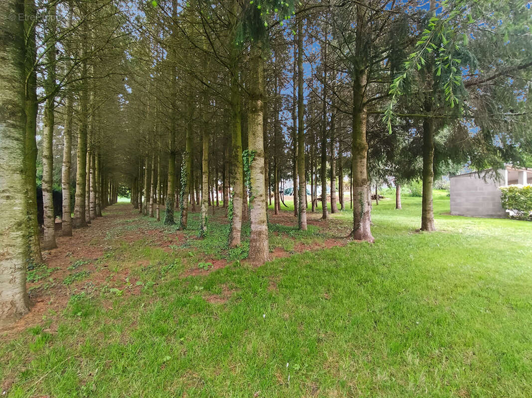 Maison à LA CHAPELLE-AUX-FILTZMEENS