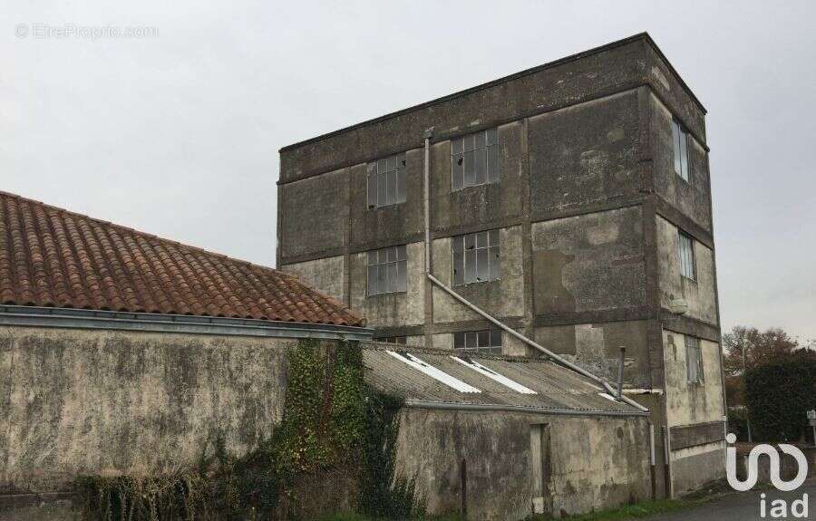 Photo 3 - Commerce à CHANTONNAY