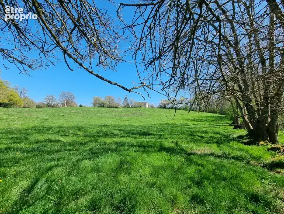 Maison 8 pièces 234 m² à vendre à Chassignolles (36400) - photo 44
