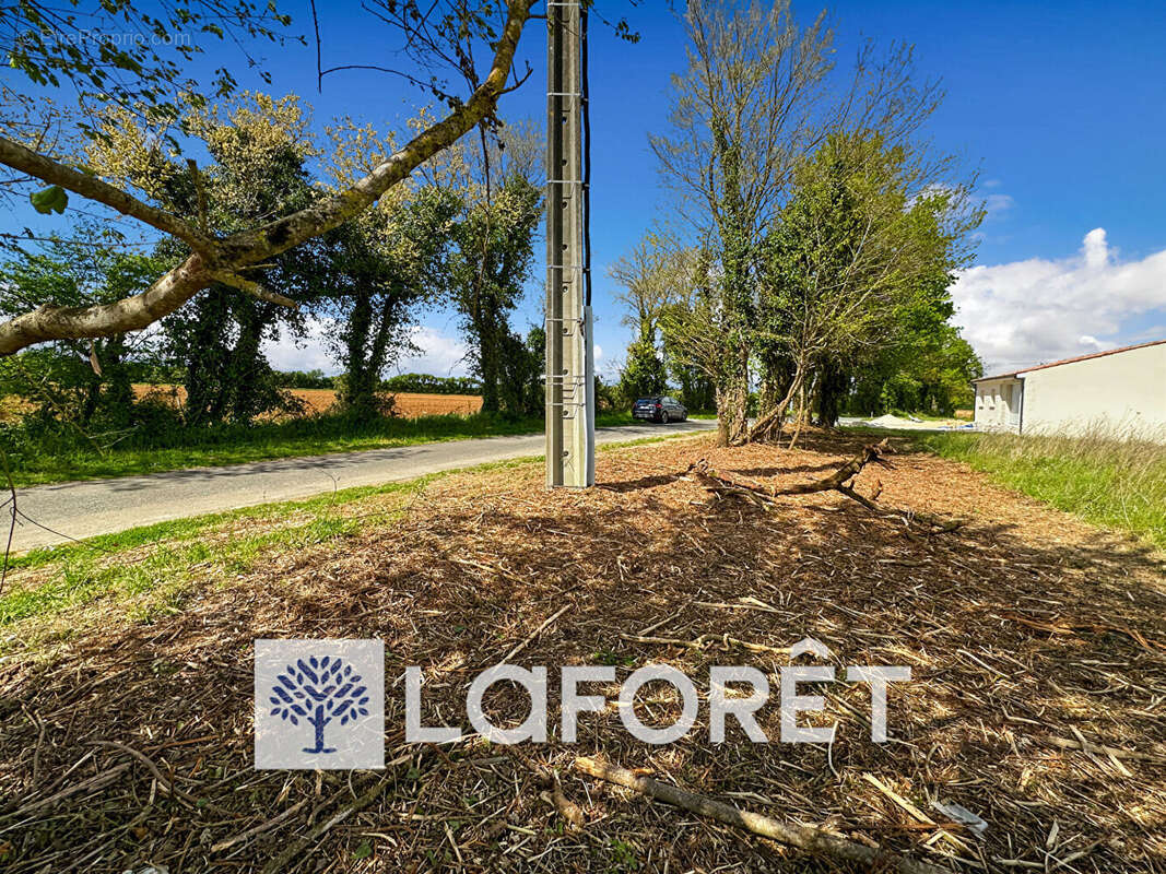 Terrain à SAINT-QUANTIN-DE-RANCANNE