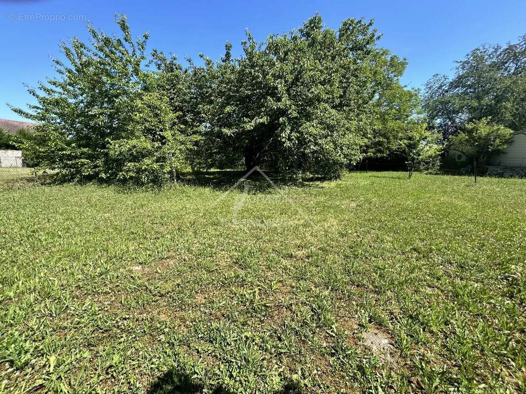 Terrain à BELLENAVES