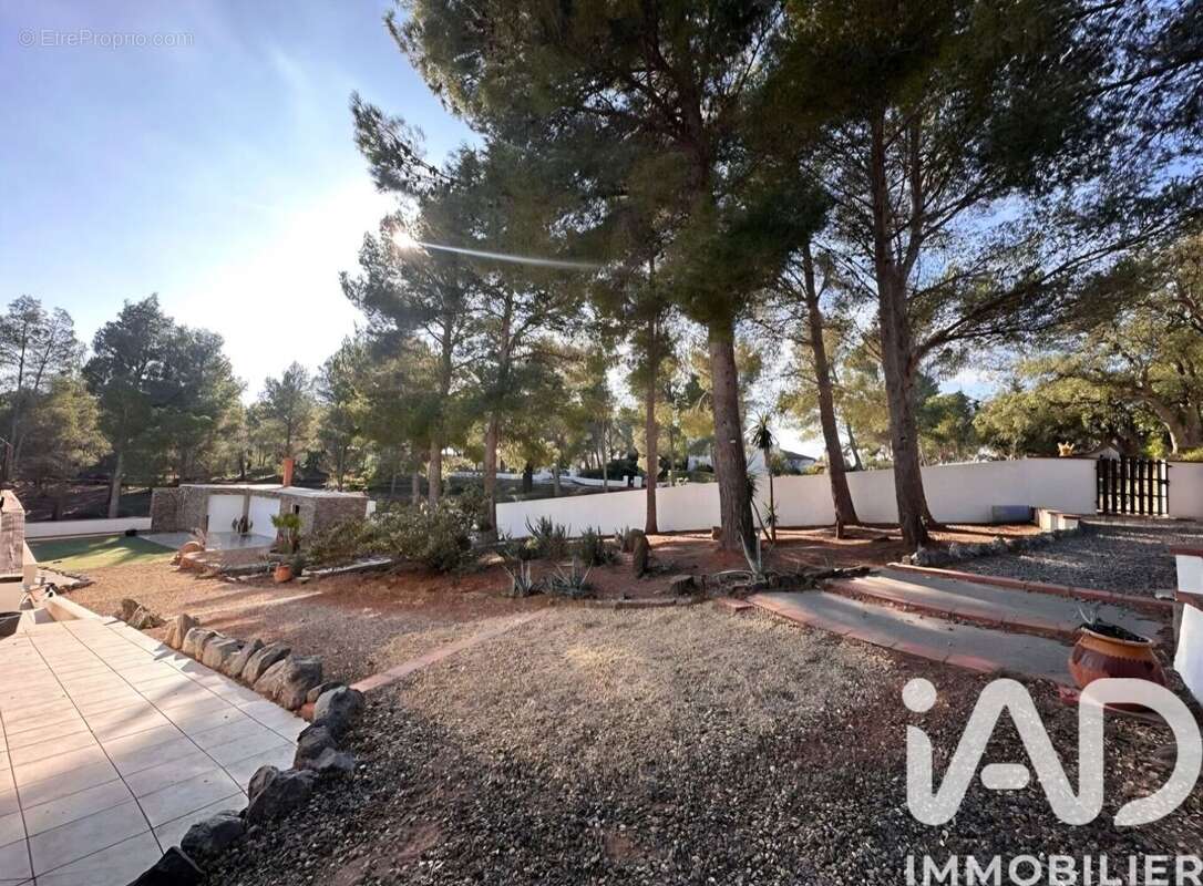 Photo 9 - Maison à ESPIRA-DE-L'AGLY