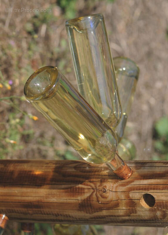 Maison à VIC-LA-GARDIOLE