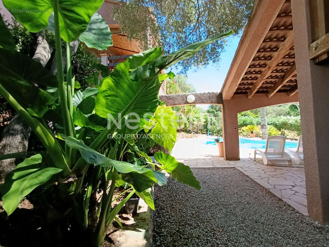 Maison Oletta 5 pièce(s) 156.29 m2 - photo 3