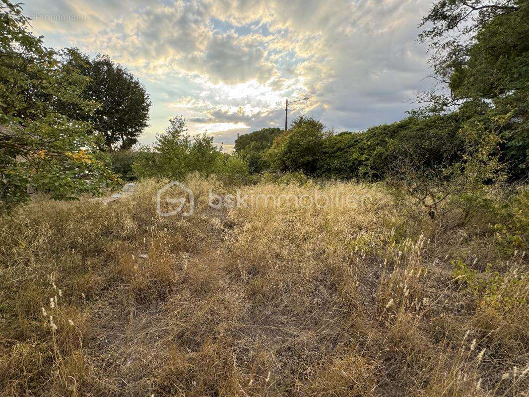 Terrain à NISSAN-LEZ-ENSERUNE