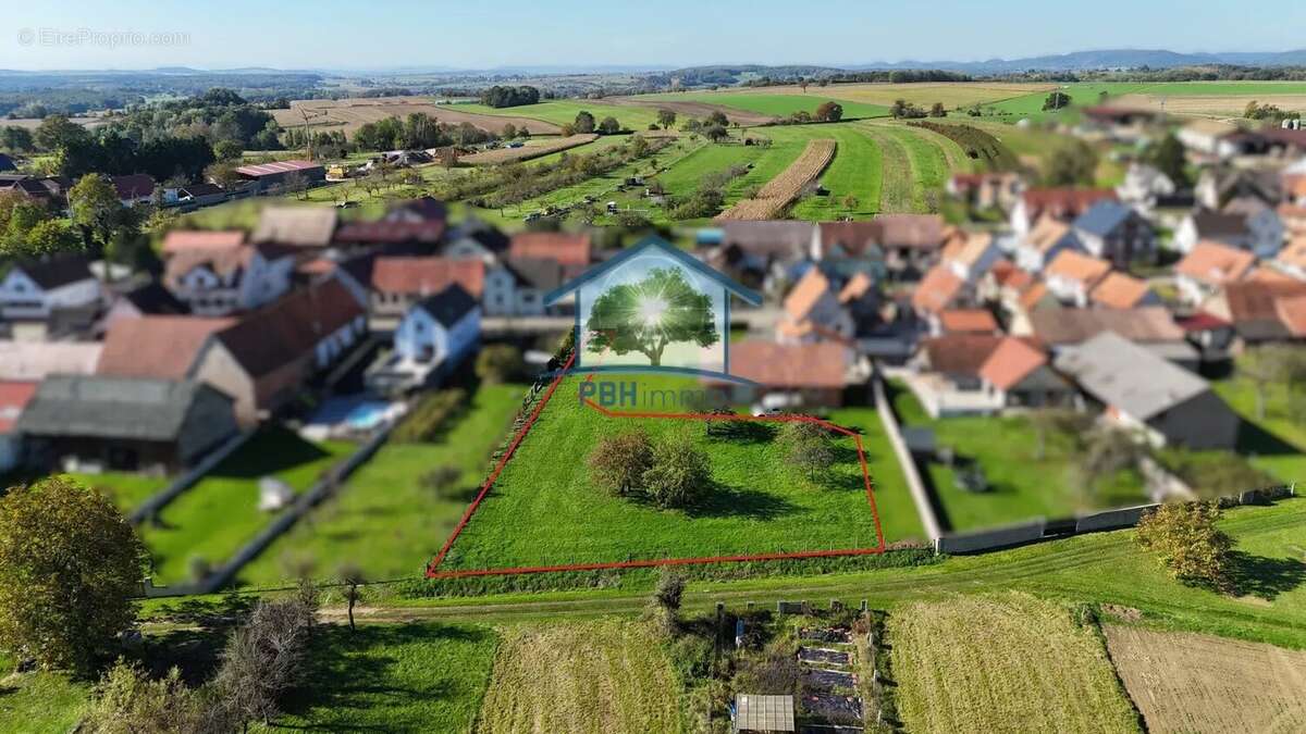 Terrain à FORSTHEIM