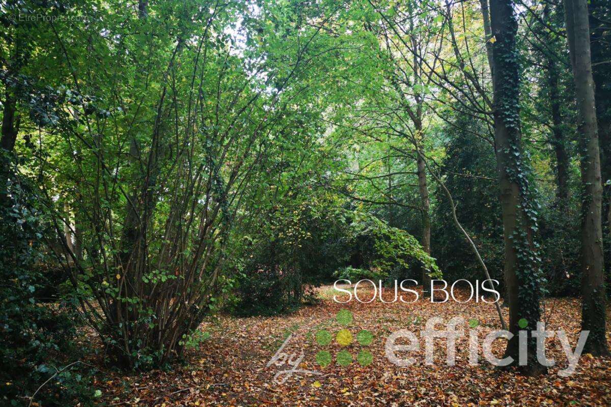 Appartement à BAILLY