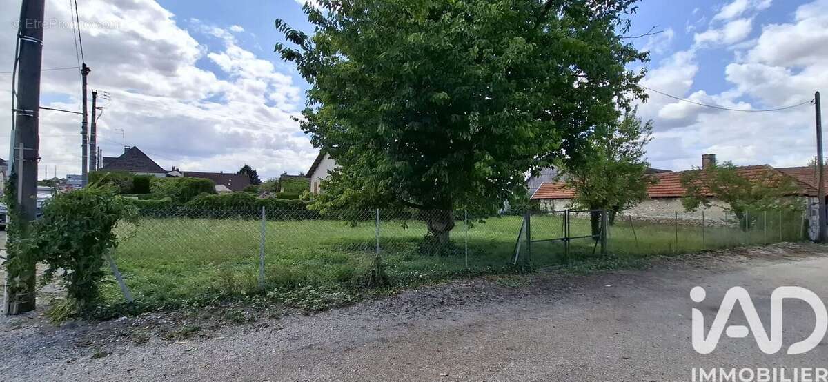Photo 5 - Terrain à MESGRIGNY