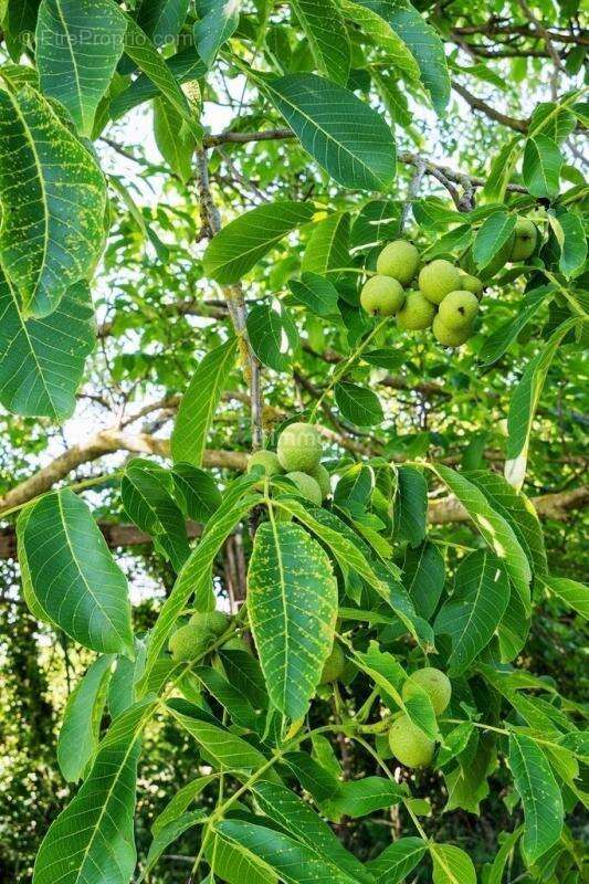 Terrain à CHALONS-EN-CHAMPAGNE