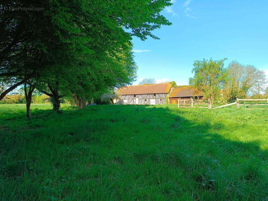 Terrain à MEZIDON-CANON