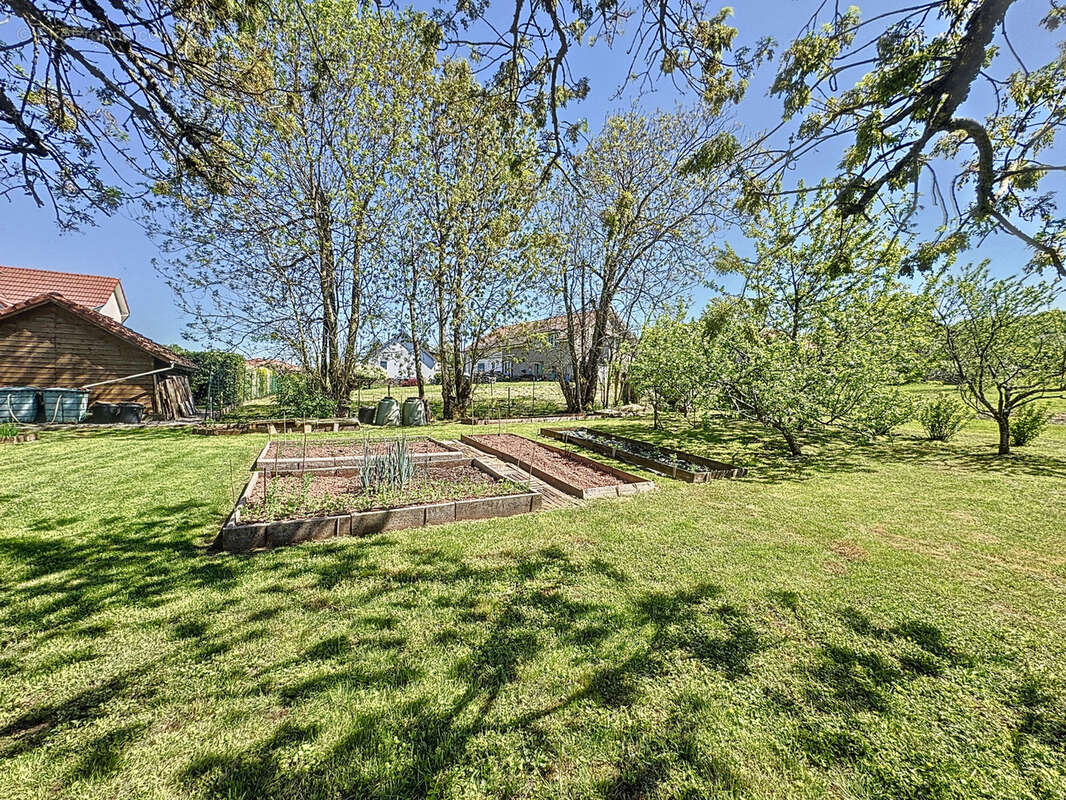 Maison à FRAHIER-ET-CHATEBIER