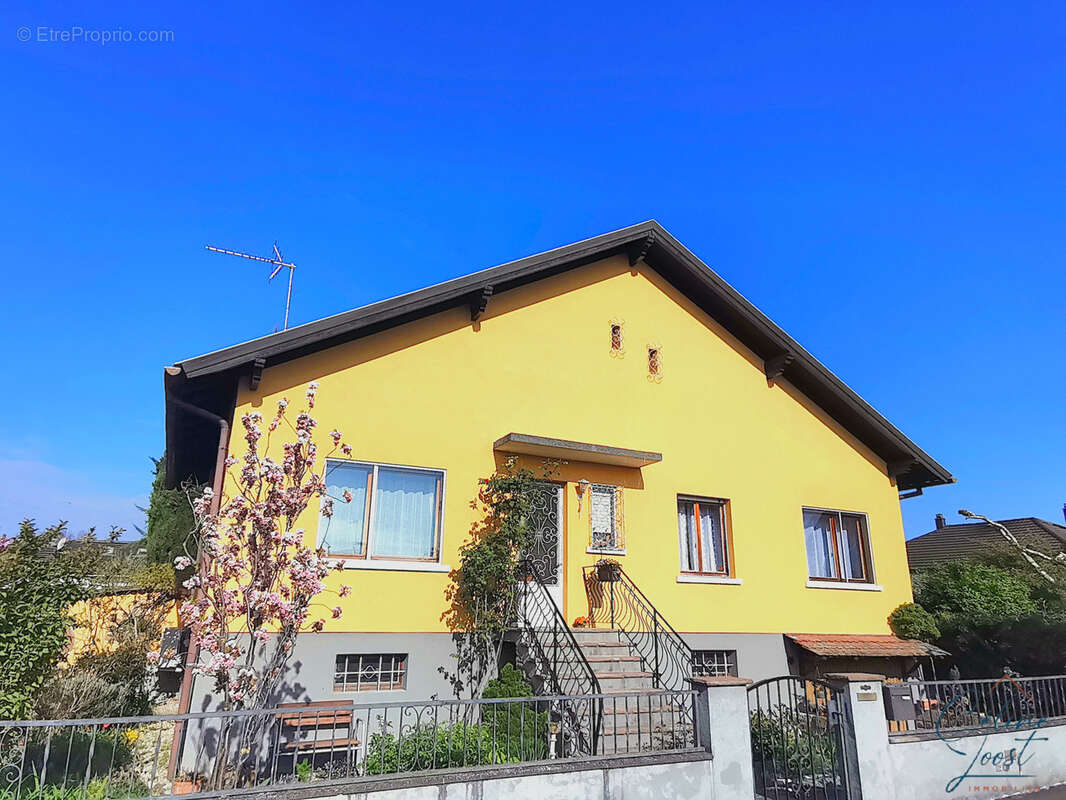 Maison à MUTTERSHOLTZ