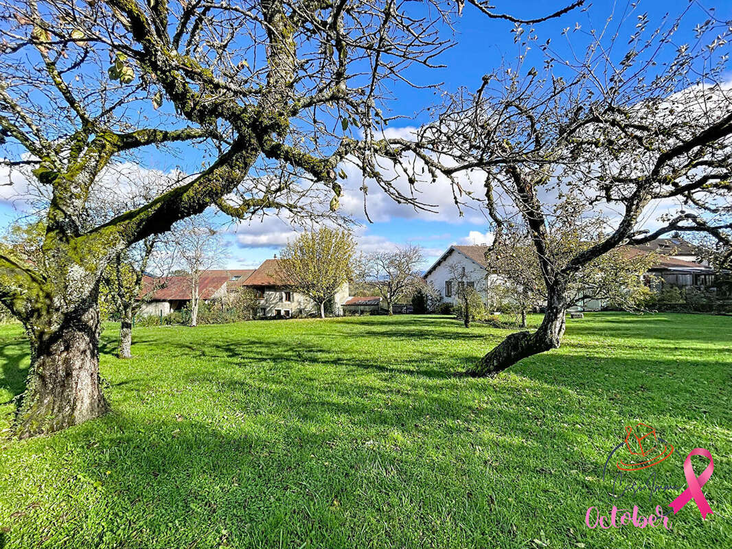 Terrain à COLLONGES