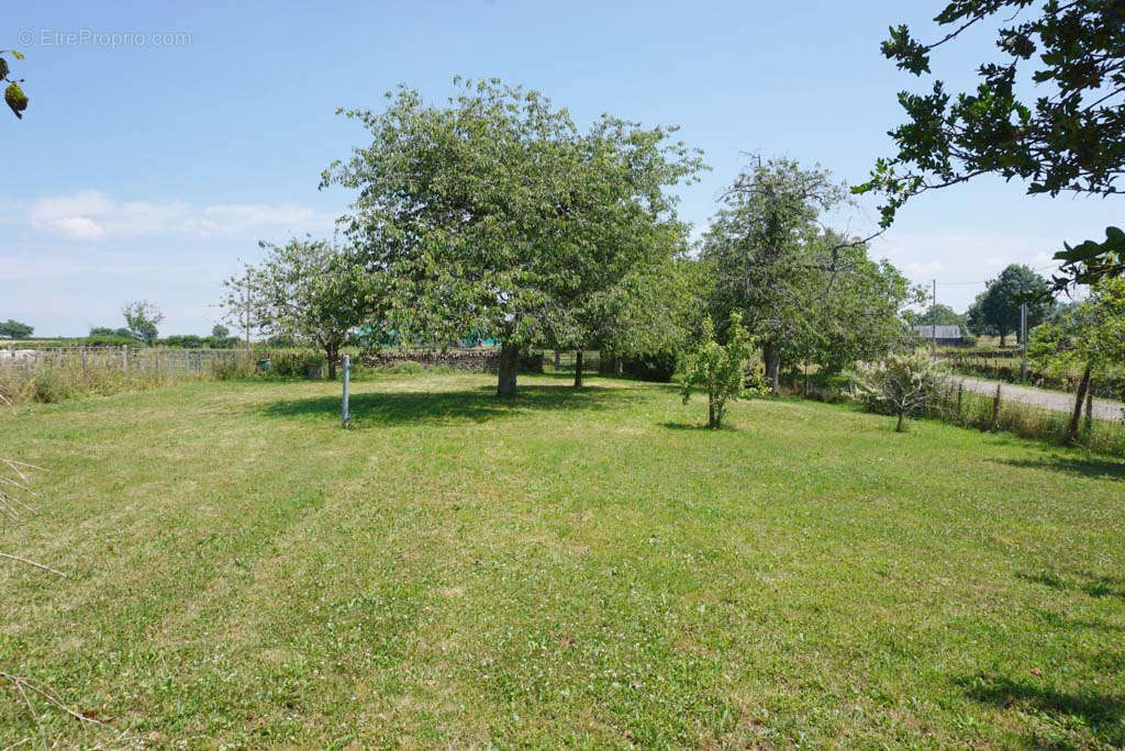 Maison à SAINT-CHRISTOPHE-EN-BRIONNAIS